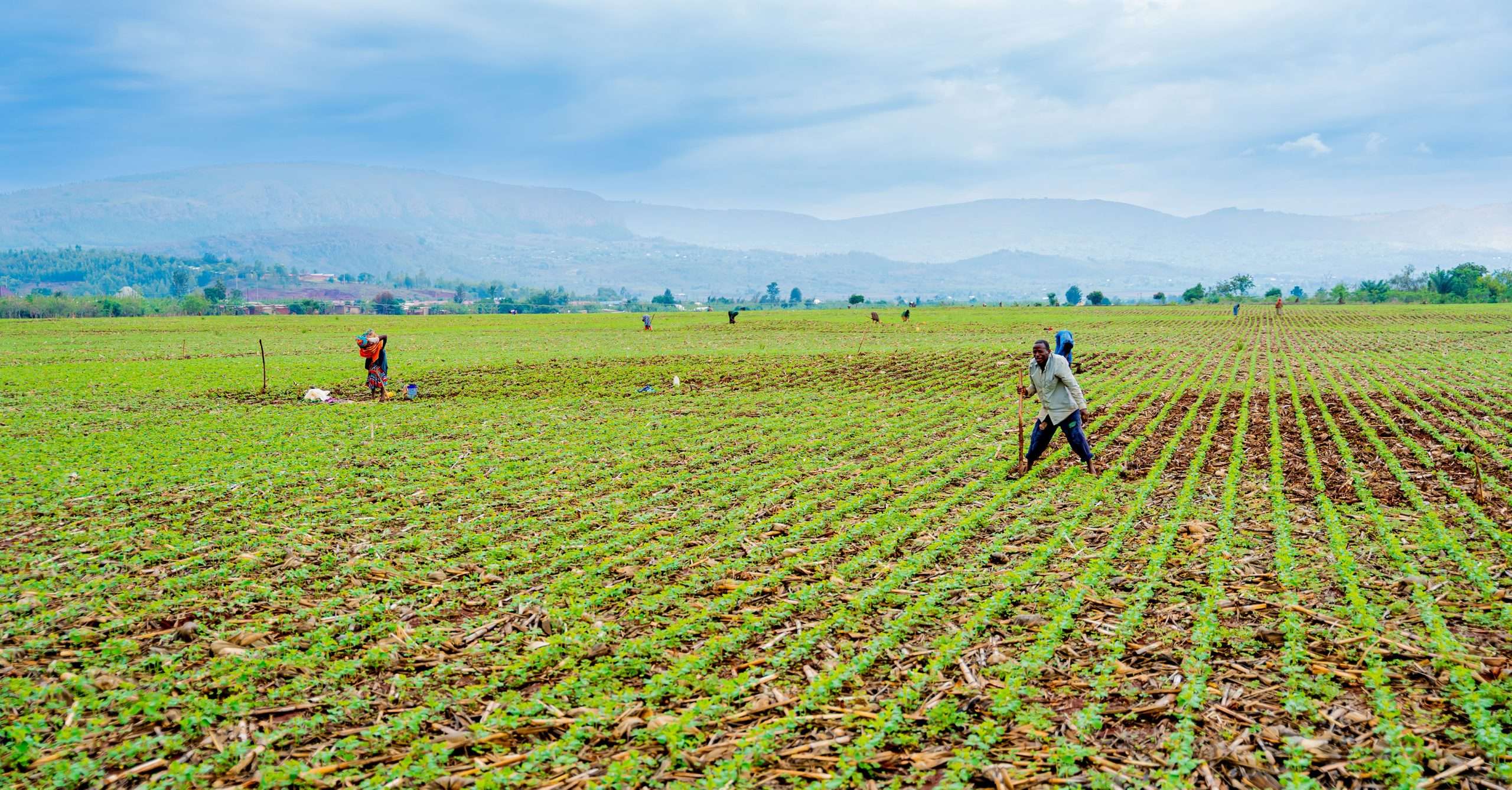 RICA Students Hope to Transform Rwanda’s Agriculture Through Soil Conservation